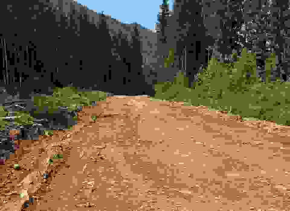 Section image