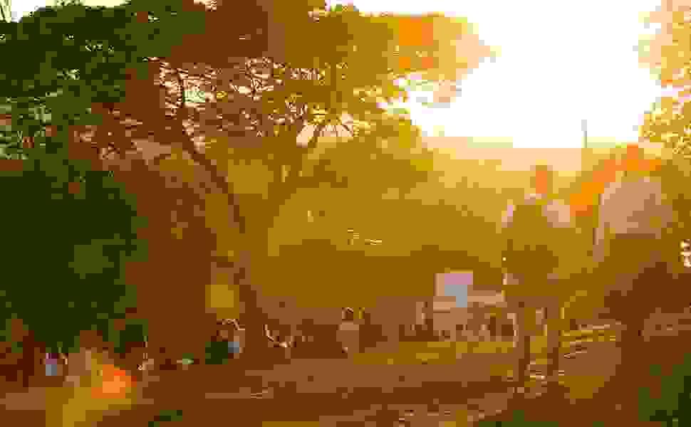 Section image