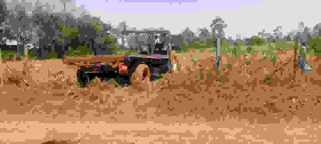 Section image