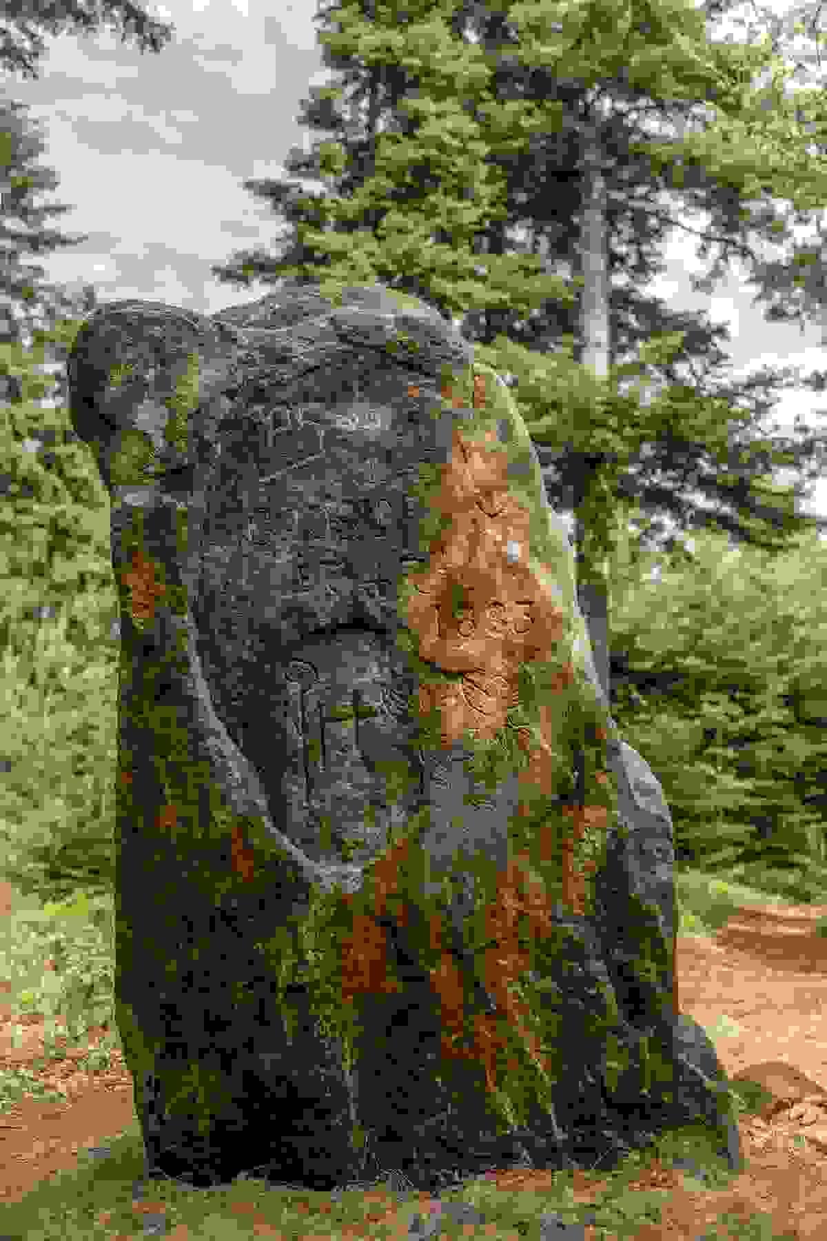 Section image