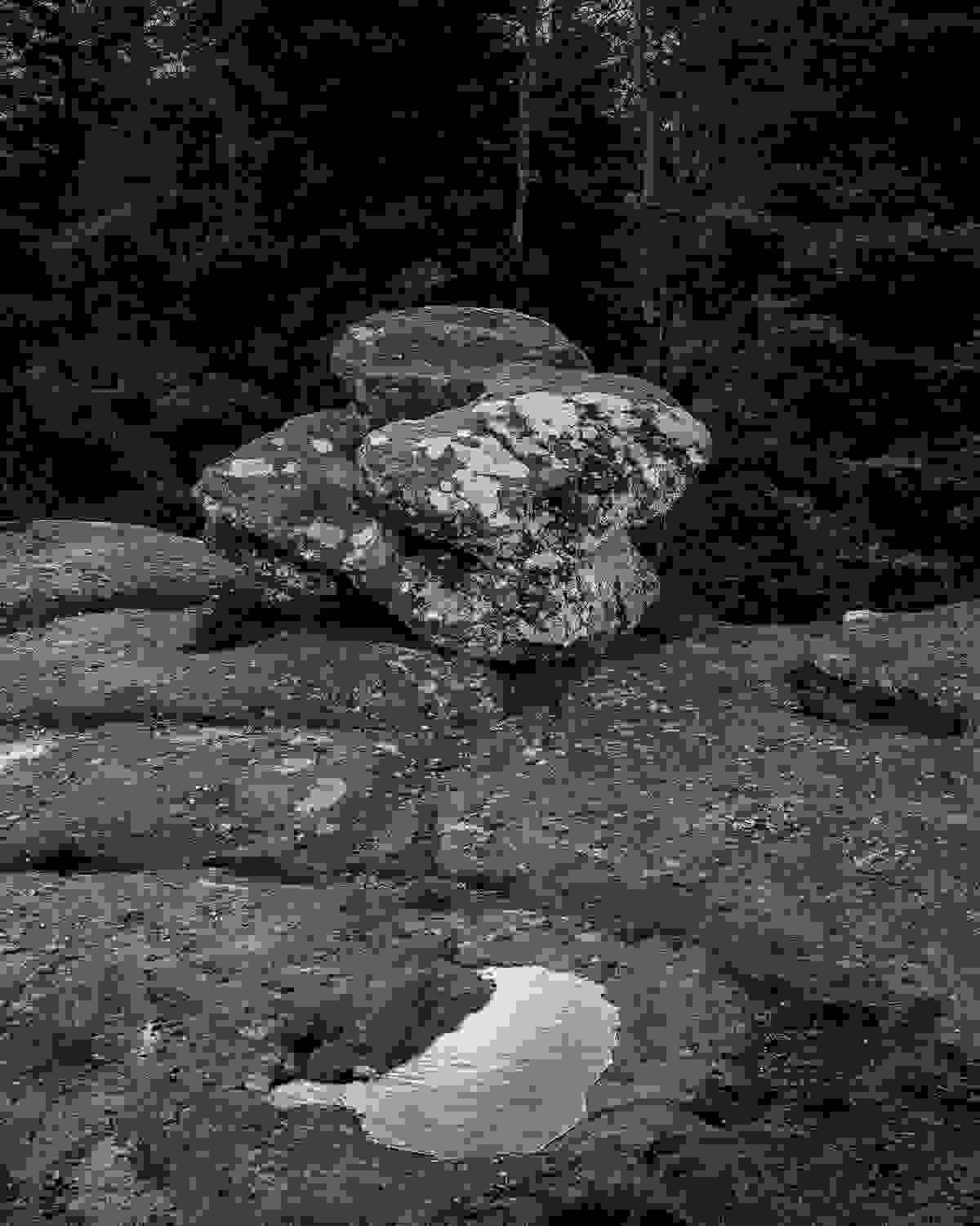 Section image