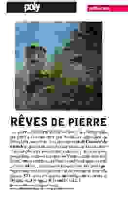 Pierre Rich reinvents the presentation of his photographs through landscape installations that invite an immersive experience. Artistic Installations Our Vision Born in 1963 in Versailles, professional photographer residing in the heart of the Alsatian Vosges, teacher, organizer of exhibitions and shows, Pierre Rich is interested in photographing, here or elsewhere, strange landscape sites and particularly mountainous environments, forests, and stones. Primarily a nature and heritage photographer, he is committed to translating the subtleties, myths, and humanism in a sharp and refined approach to framing and light. His images convey all the plastic and visual qualities of nature, at the center of his work, in an inspired wandering. For several years, he has been focusing on presenting photography differently, alongside more "classic" displays of his images, in the form of landscape installations and performances. He regularly exhibits his images and also publishes numerous photography books that are calls to marvel at the splendor of the World. Pierre Rich reinvents the presentation of his photographs through landscape installations that invite an immersive experience. Artistic Installations Our Vision Born in 1963 in Versailles, professional photographer residing in the heart of the Alsatian Vosges, teacher, organizer of exhibitions and shows, Pierre Rich is interested in photographing, here or elsewhere, strange landscape sites and particularly mountainous environments, forests, and stones. Primarily a nature and heritage photographer, he is committed to translating the subtleties, myths, and humanism in a sharp and refined approach to framing and light. His images convey all the plastic and visual qualities of nature, at the center of his work, in an inspired wandering. For several years, he has been focusing on presenting photography differently, alongside more "classic" displays of his images, in the form of landscape installations and performances. He regularly exhibits his images and also publishes numerous photography books that are calls to marvel at the splendor of the World.