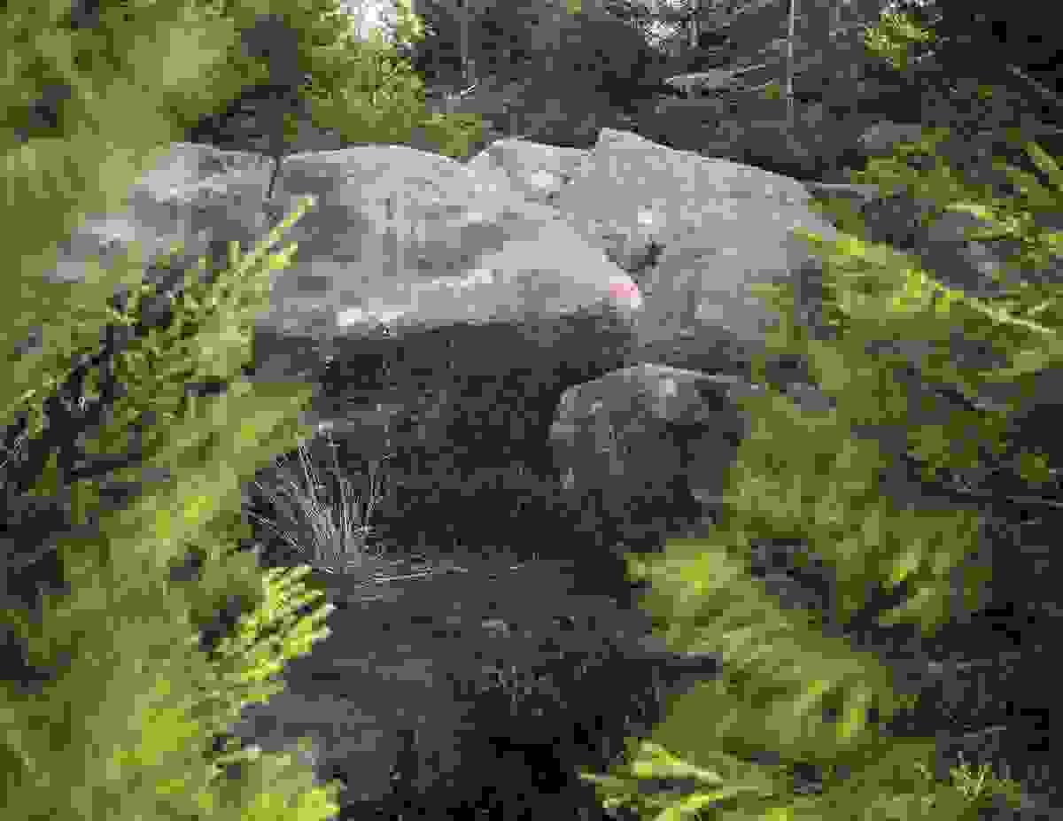 Section image