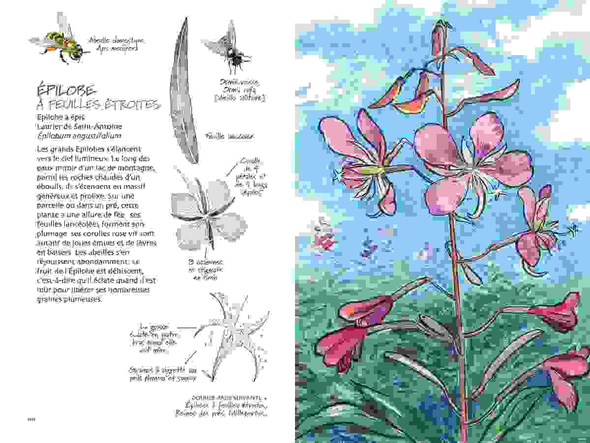 Section image