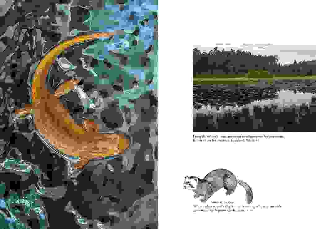 Section image