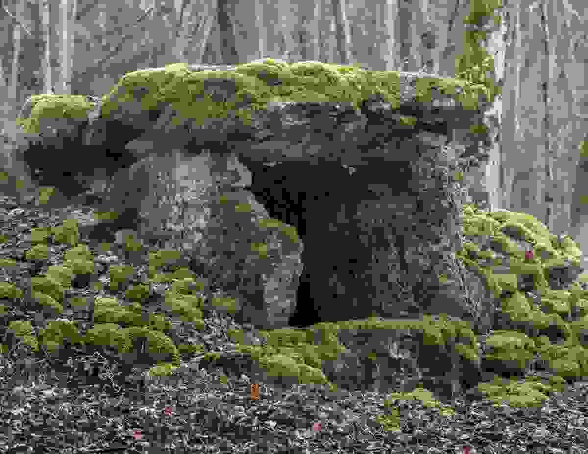 Section image