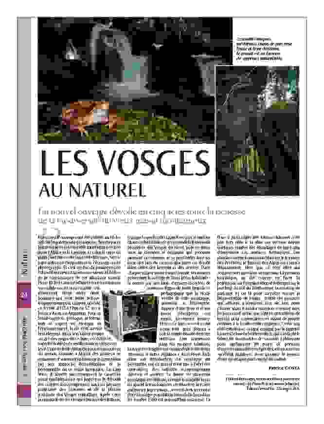 Pierre Rich reinvents the presentation of his photographs through landscape installations that invite an immersive experience. Artistic Installations Our Vision Born in 1963 in Versailles, professional photographer residing in the heart of the Alsatian Vosges, teacher, organizer of exhibitions and shows, Pierre Rich is interested in photographing, here or elsewhere, strange landscape sites and particularly mountainous environments, forests, and stones. Primarily a nature and heritage photographer, he is committed to translating the subtleties, myths, and humanism in a sharp and refined approach to framing and light. His images convey all the plastic and visual qualities of nature, at the center of his work, in an inspired wandering. For several years, he has been focusing on presenting photography differently, alongside more "classic" displays of his images, in the form of landscape installations and performances. He regularly exhibits his images and also publishes numerous photography books that are calls to marvel at the splendor of the World. Pierre Rich reinvents the presentation of his photographs through landscape installations that invite an immersive experience. Artistic Installations Our Vision Born in 1963 in Versailles, professional photographer residing in the heart of the Alsatian Vosges, teacher, organizer of exhibitions and shows, Pierre Rich is interested in photographing, here or elsewhere, strange landscape sites and particularly mountainous environments, forests, and stones. Primarily a nature and heritage photographer, he is committed to translating the subtleties, myths, and humanism in a sharp and refined approach to framing and light. His images convey all the plastic and visual qualities of nature, at the center of his work, in an inspired wandering. For several years, he has been focusing on presenting photography differently, alongside more "classic" displays of his images, in the form of landscape installations and performances. He regularly exhibits his images and also publishes numerous photography books that are calls to marvel at the splendor of the World.