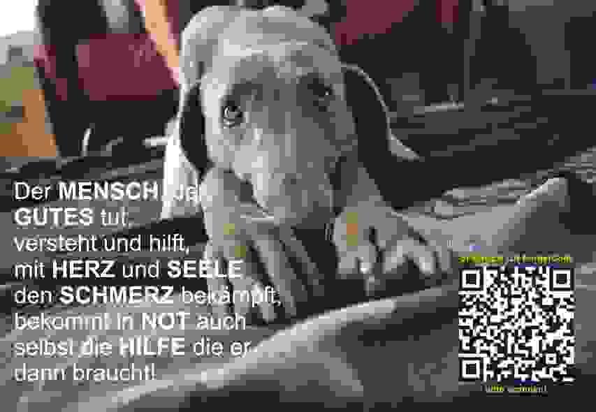 Wegbegleiter
