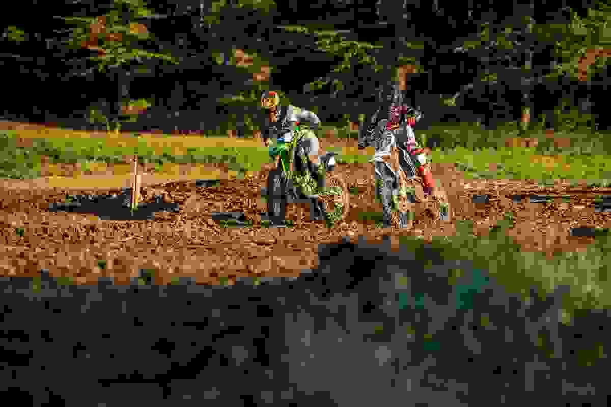 Section image