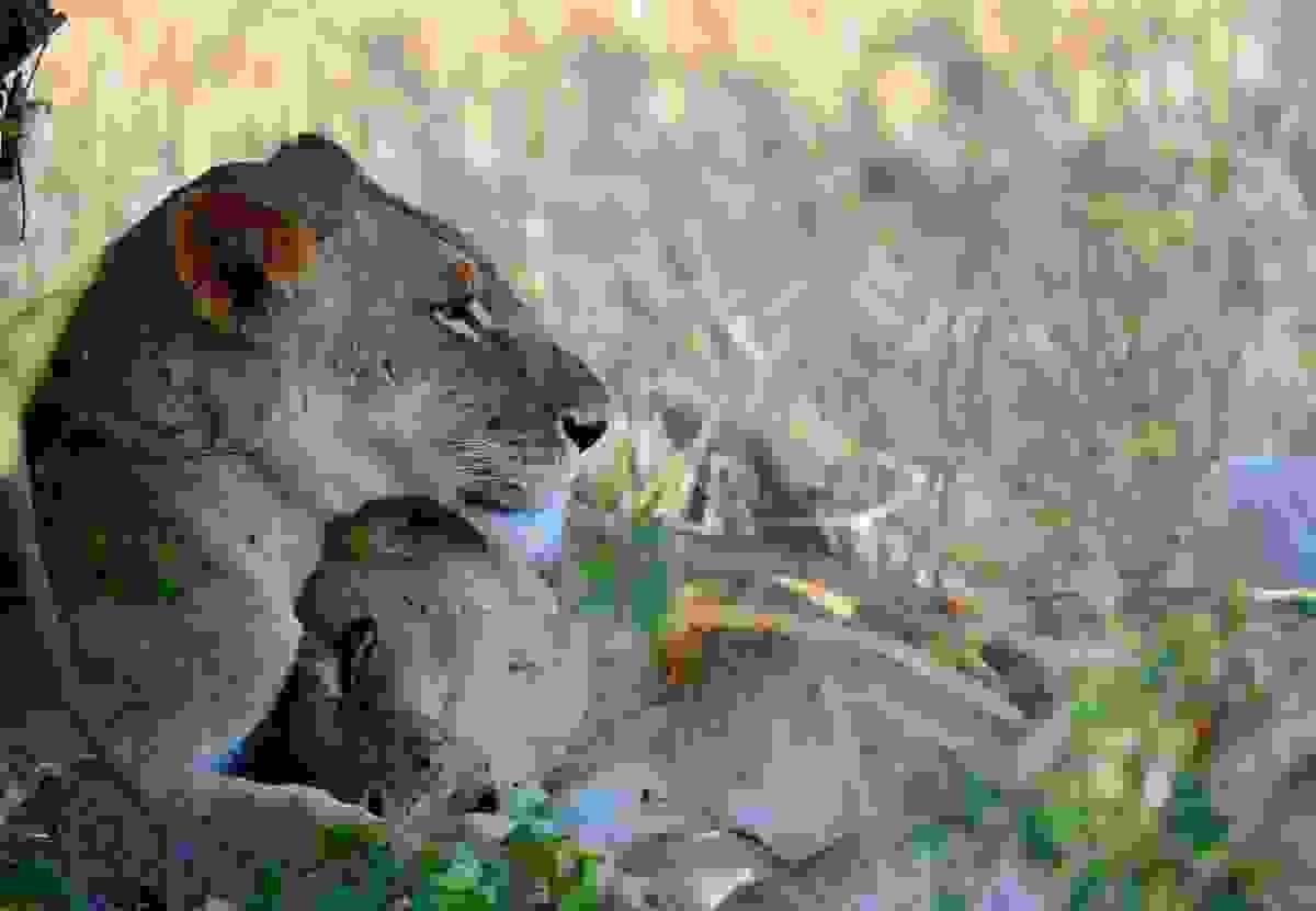 Section image