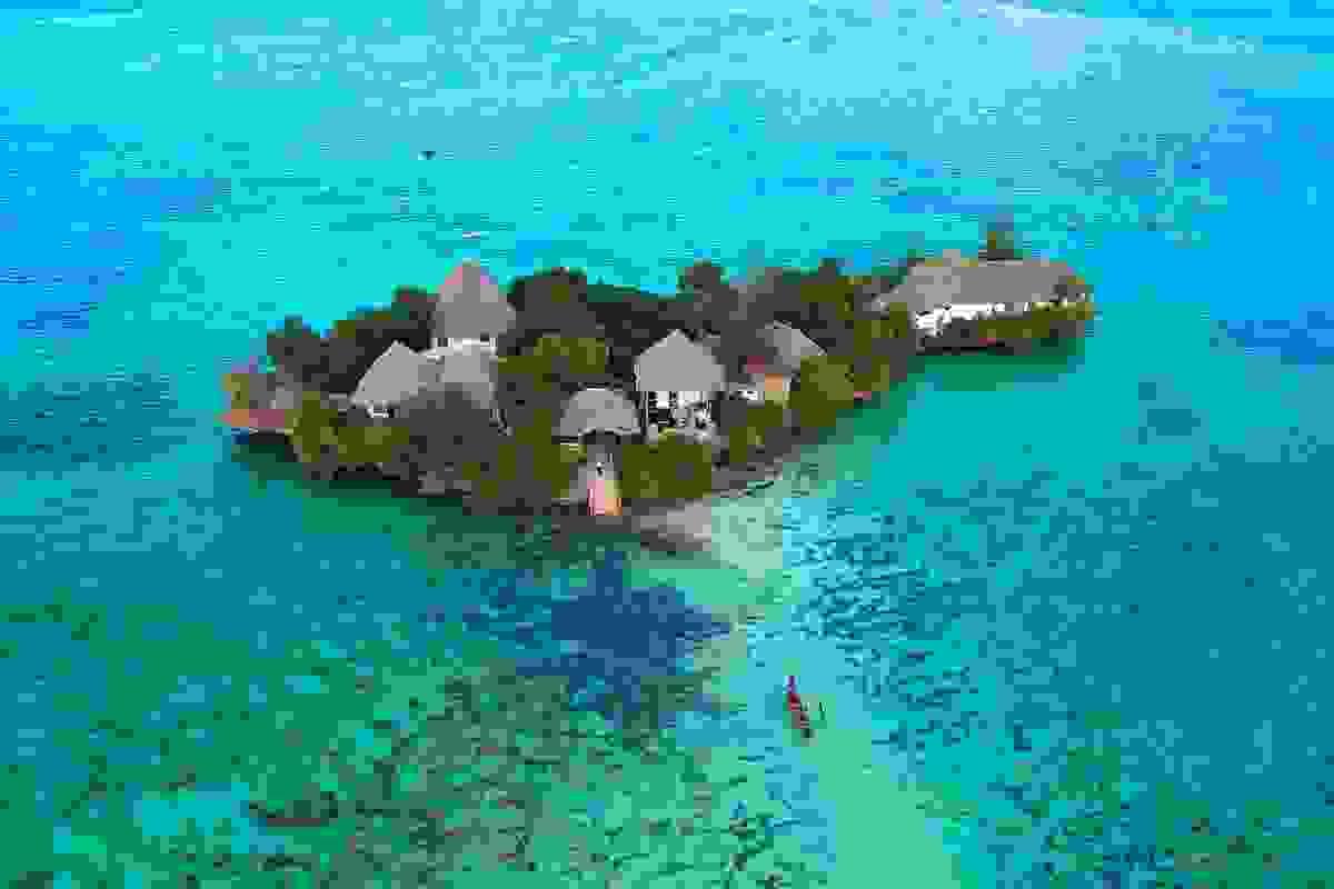 Section image