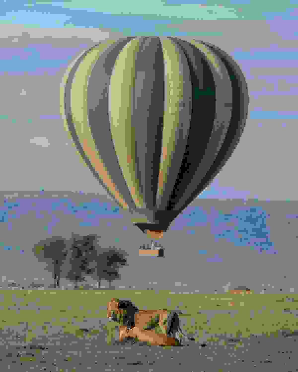 Section image