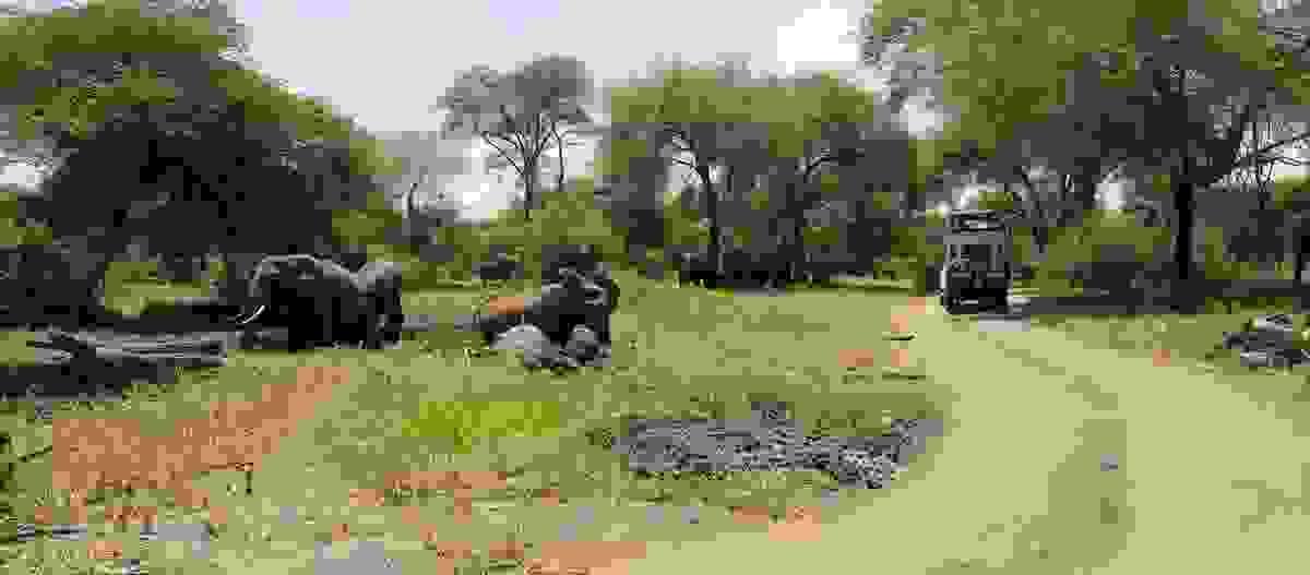 Section image