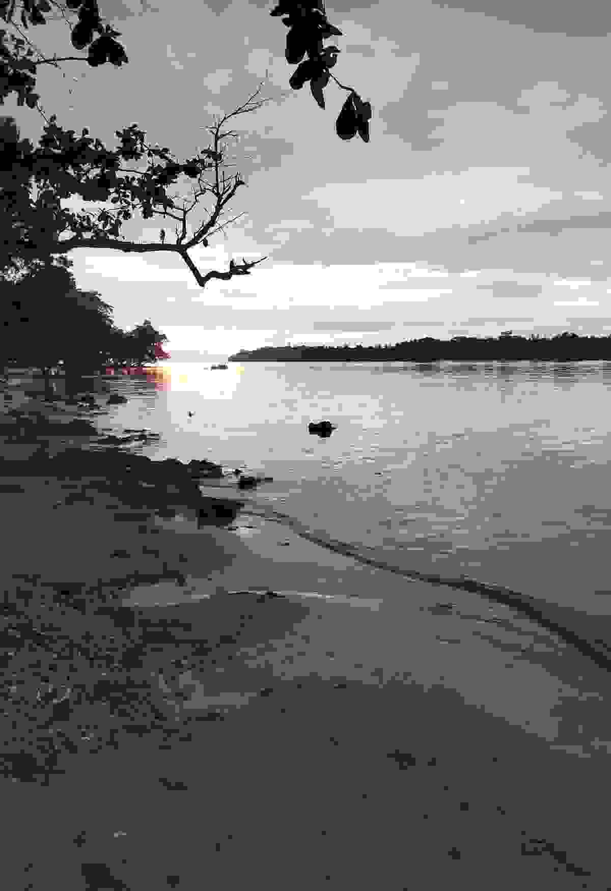 Section image