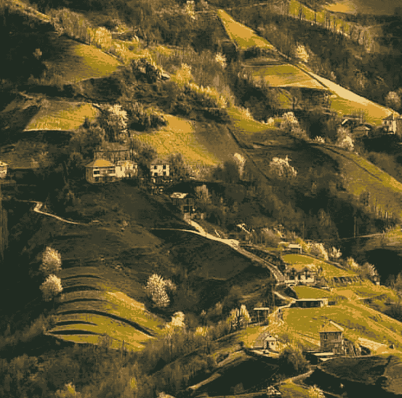 Section image