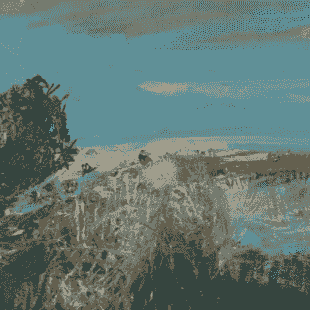 Section image