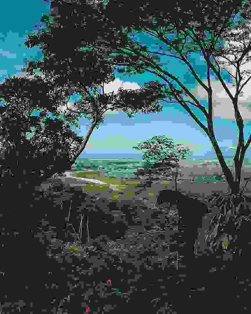 broken image