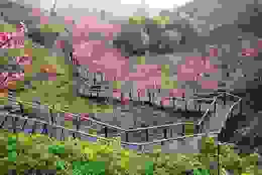 Section image