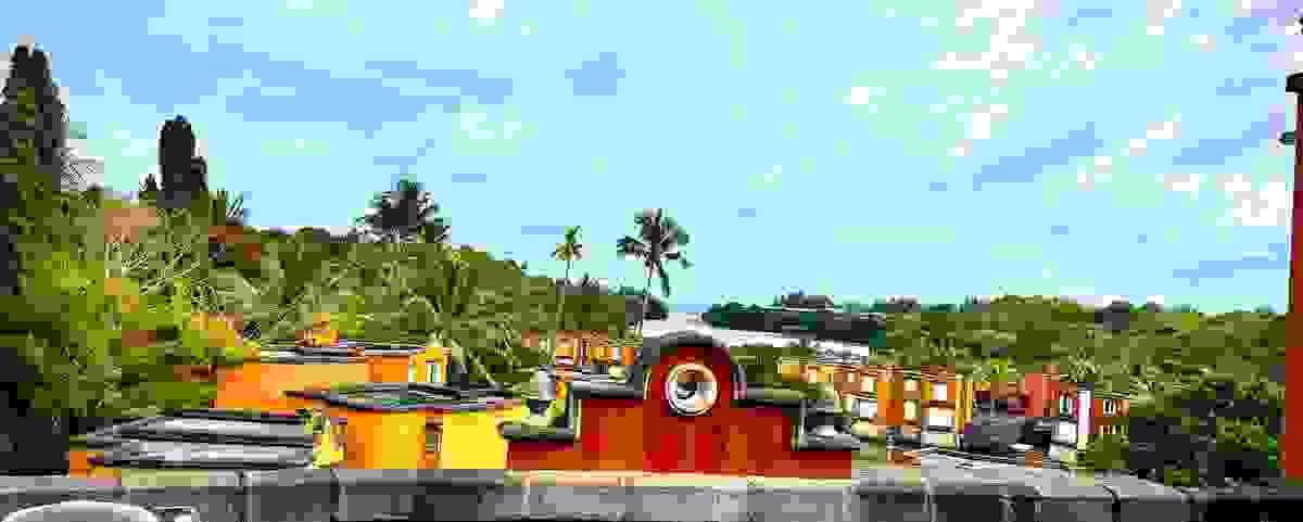 Section image