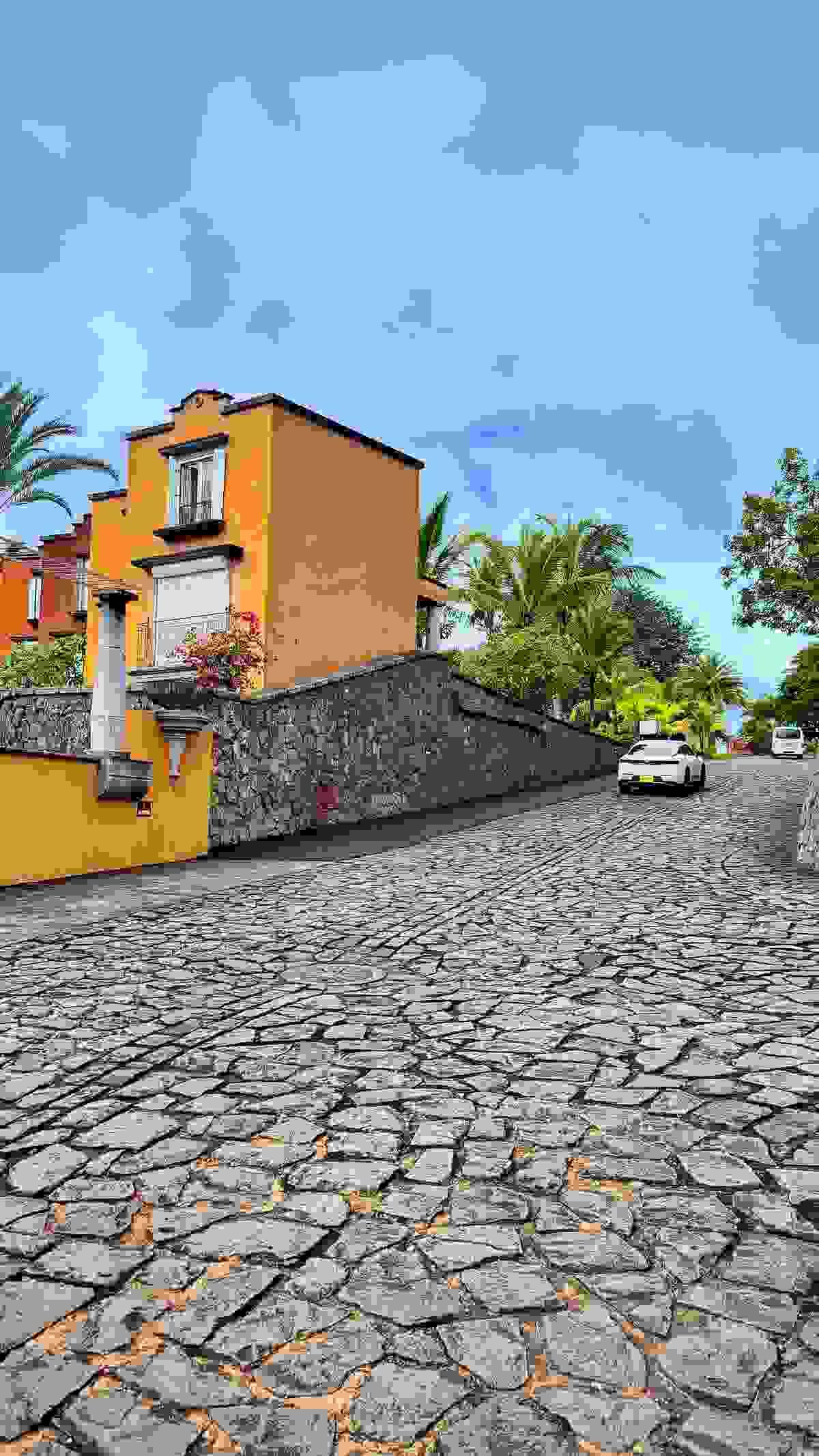 Section image