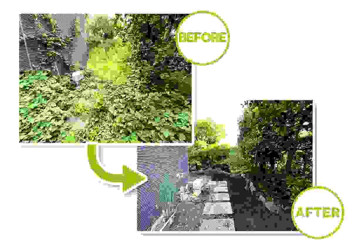 Section image