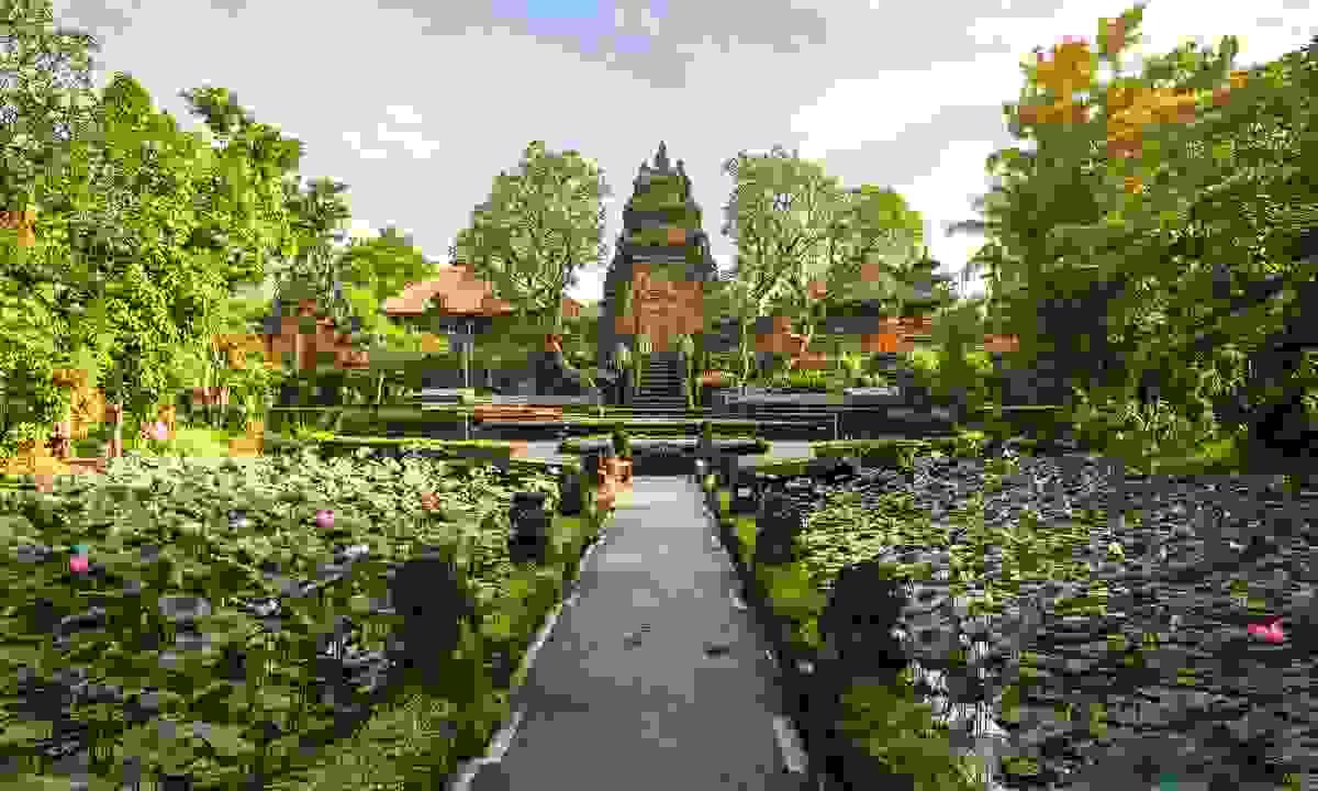 Section image