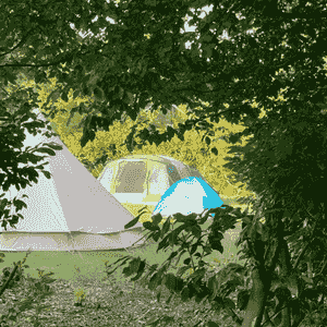 tents viewed through a gap in the trees tents viewed through a gap in the trees