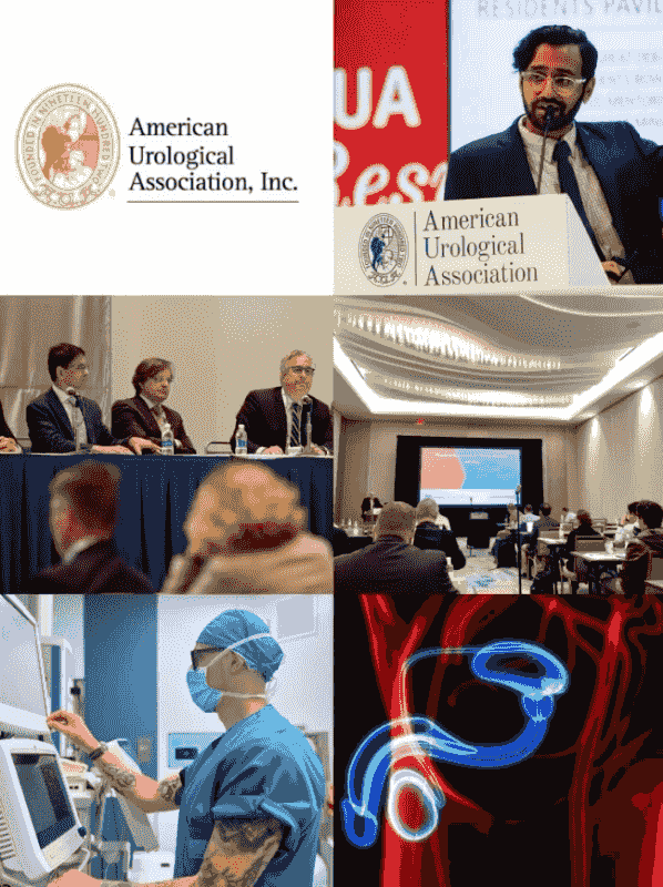 Section image