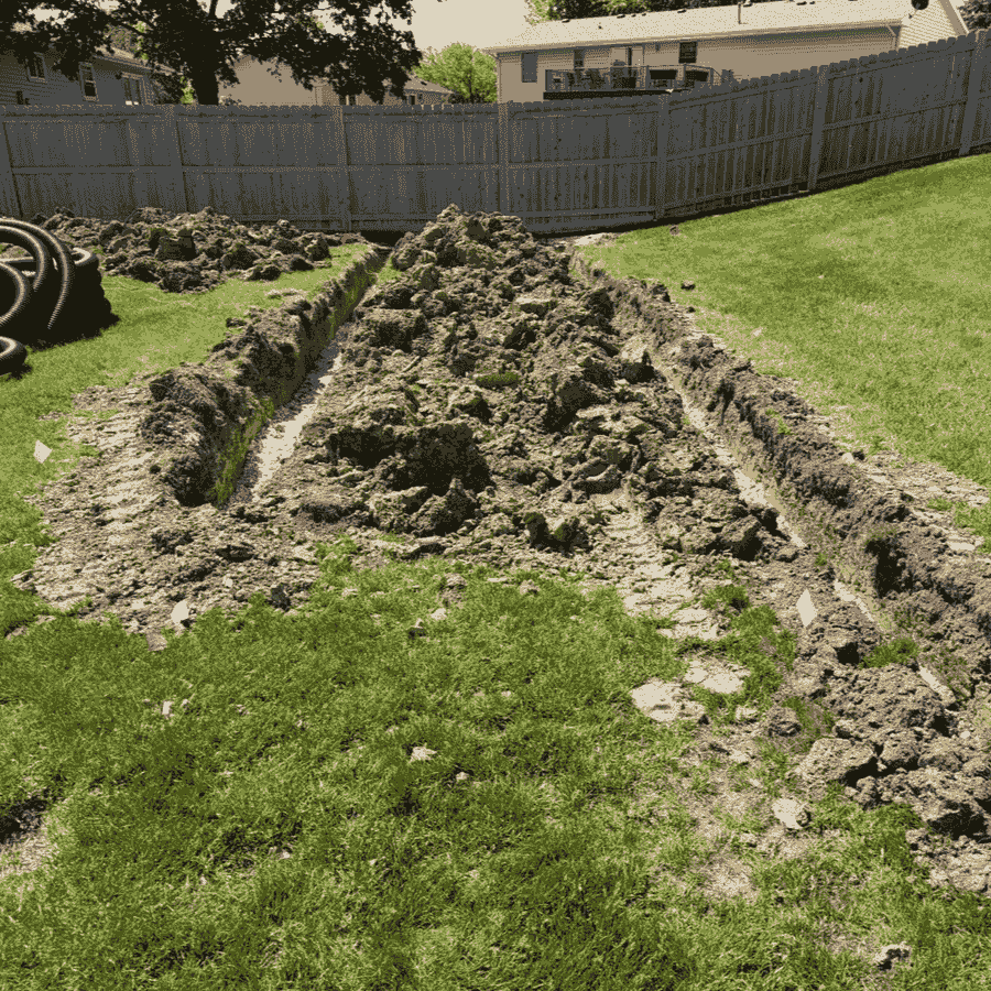 Section image