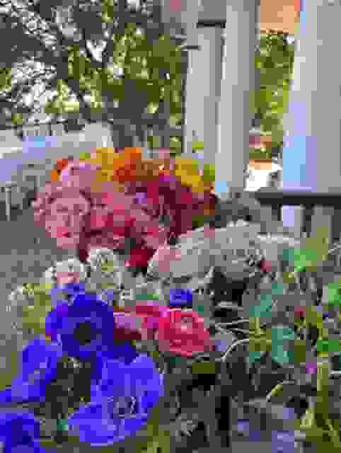 broken image