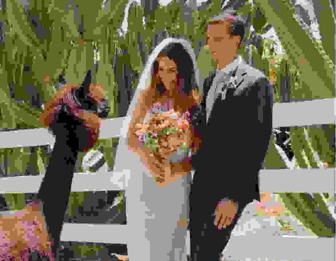 broken image