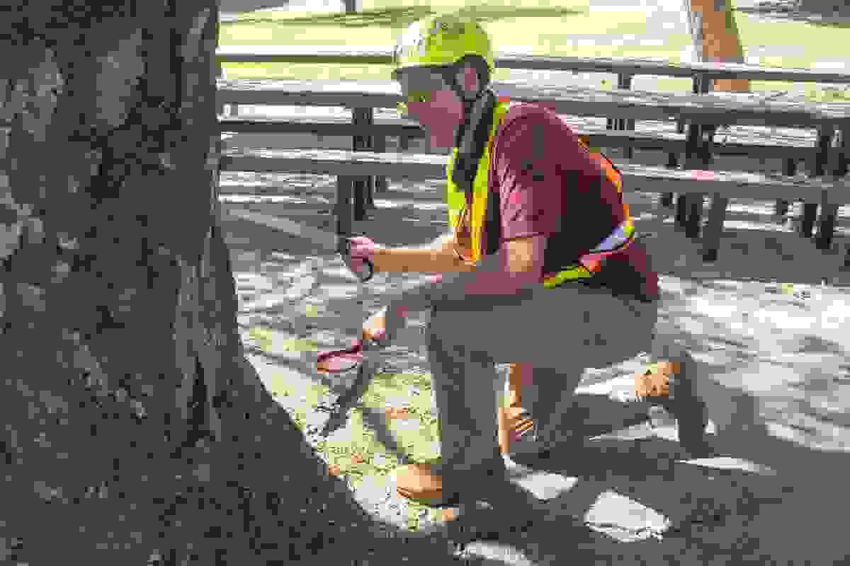 Planning and supervising tree protection during construction to preserve landscape integrity. Construction & Tree Protection Our Expertise Reports, tree risk assessments, inventories, appraisals, expert witness, construction/tree protection. ASCA lists him as an ISA Certified Arborist and Board Certified Master Arborist. ISA Certification: WE-1877B
Services:
Expert Witness Services
Tree Inventories
Appraisals of Tree Value/Loss
TRAQ – Tree Risk Appraisal Qualified
Demonstrations and lectures – Pruning, Safety, Training
Contract Preparation and Supervision
Tree Management for Golf Courses, Communities, HOAs
Clearly Written Reports that Fit your Project Needs
Affiliations shown:
ISA Qualifications
International Society of Arboriculture
American Society of Consulting Arborists
ISA Board Certified Master Arborist Planning and supervising tree protection during construction to preserve landscape integrity. Construction & Tree Protection Our Expertise Reports, tree risk assessments, inventories, appraisals, expert witness, construction/tree protection. ASCA lists him as an ISA Certified Arborist and Board Certified Master Arborist. ISA Certification: WE-1877B
Services:
Expert Witness Services
Tree Inventories
Appraisals of Tree Value/Loss
TRAQ – Tree Risk Appraisal Qualified
Demonstrations and lectures – Pruning, Safety, Training
Contract Preparation and Supervision
Tree Management for Golf Courses, Communities, HOAs
Clearly Written Reports that Fit your Project Needs
Affiliations shown:
ISA Qualifications
International Society of Arboriculture
American Society of Consulting Arborists
ISA Board Certified Master Arborist