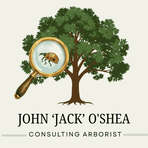 Planning and supervising tree protection during construction to preserve landscape integrity. Construction & Tree Protection Our Expertise Reports, tree risk assessments, inventories, appraisals, expert witness, construction/tree protection. ASCA lists him as an ISA Certified Arborist and Board Certified Master Arborist. ISA Certification: WE-1877B
Services:
Expert Witness Services
Tree Inventories
Appraisals of Tree Value/Loss
TRAQ – Tree Risk Appraisal Qualified
Demonstrations and lectures – Pruning, Safety, Training
Contract Preparation and Supervision
Tree Management for Golf Courses, Communities, HOAs
Clearly Written Reports that Fit your Project Needs
Affiliations shown:
ISA Qualifications
International Society of Arboriculture
American Society of Consulting Arborists
ISA Board Certified Master Arborist Planning and supervising tree protection during construction to preserve landscape integrity. Construction & Tree Protection Our Expertise Reports, tree risk assessments, inventories, appraisals, expert witness, construction/tree protection. ASCA lists him as an ISA Certified Arborist and Board Certified Master Arborist. ISA Certification: WE-1877B
Services:
Expert Witness Services
Tree Inventories
Appraisals of Tree Value/Loss
TRAQ – Tree Risk Appraisal Qualified
Demonstrations and lectures – Pruning, Safety, Training
Contract Preparation and Supervision
Tree Management for Golf Courses, Communities, HOAs
Clearly Written Reports that Fit your Project Needs
Affiliations shown:
ISA Qualifications
International Society of Arboriculture
American Society of Consulting Arborists
ISA Board Certified Master Arborist