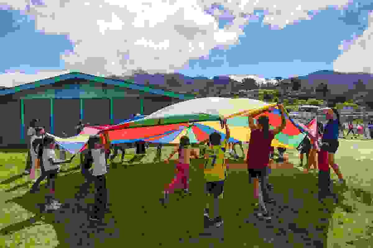 Section image