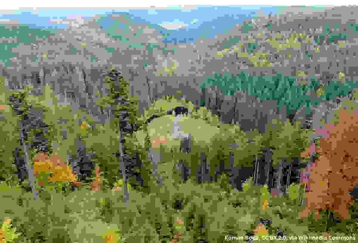 Section image