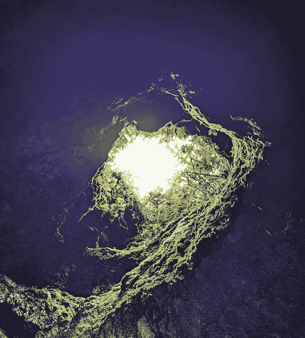 broken image