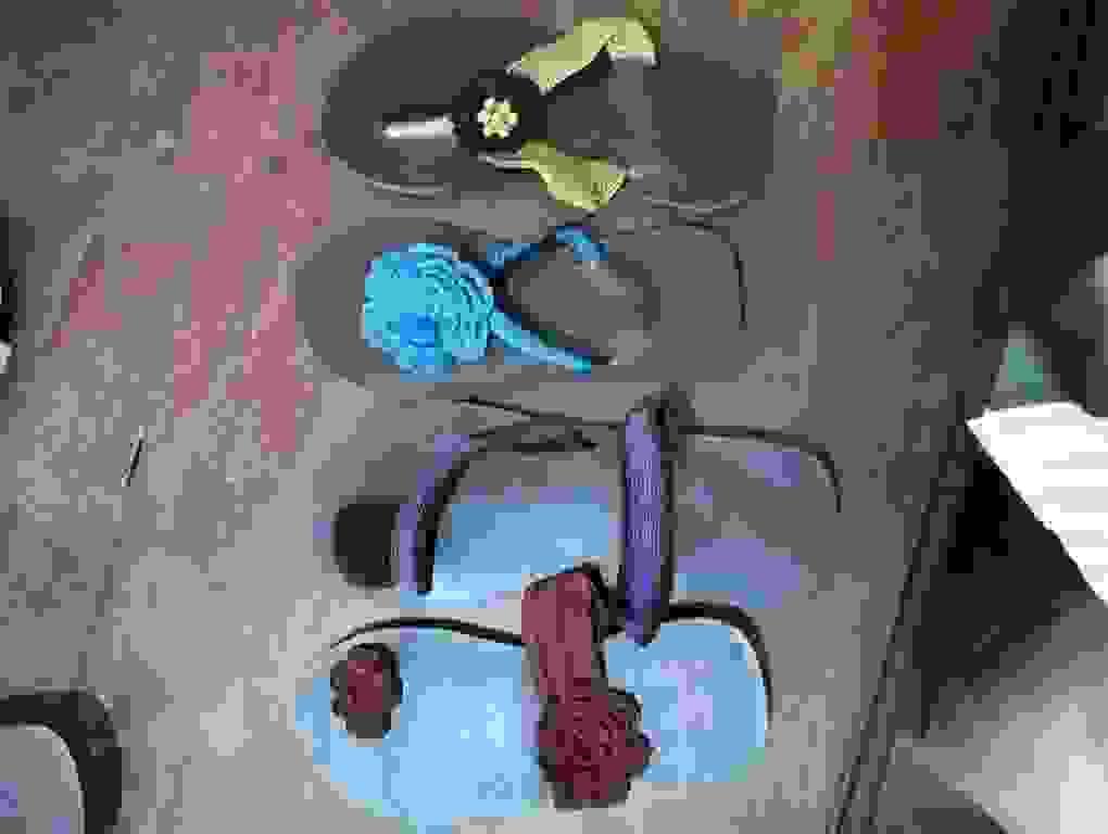 Section image