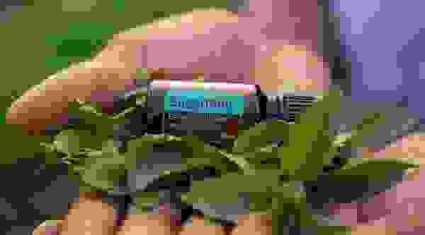 broken image