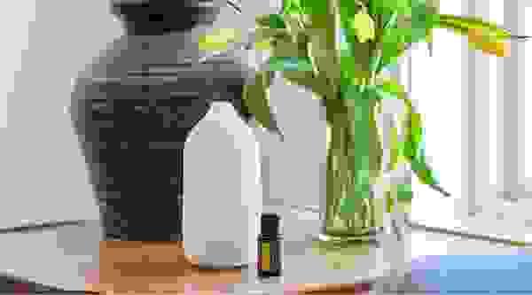 broken image