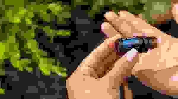 broken image