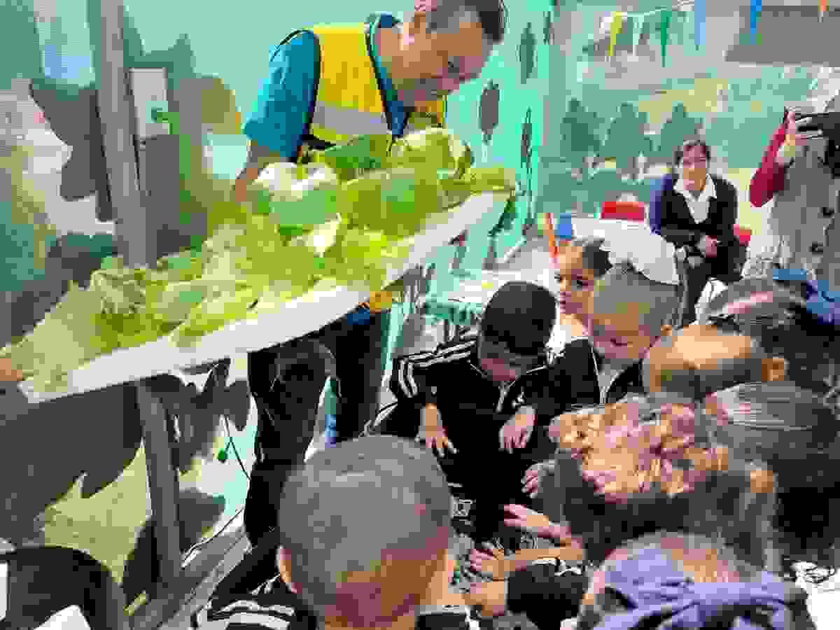 Section image