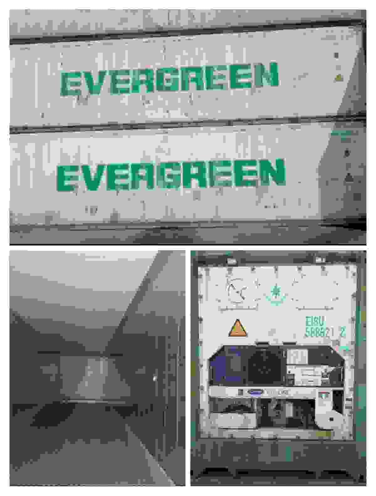 broken image