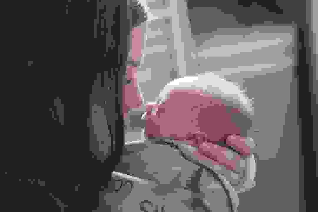 broken image