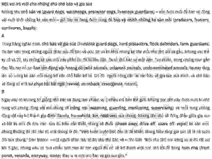 A new role for livestock guard dogs: Đề thi IELTS READING (IELTS Reading Practice Test)
