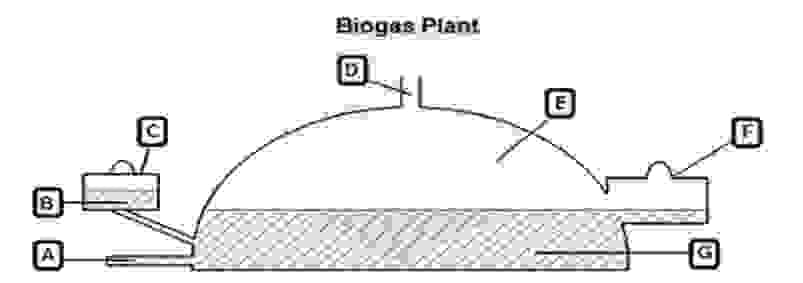 Biogas Plant: Đề thi IELTS LISTENING (actual test)