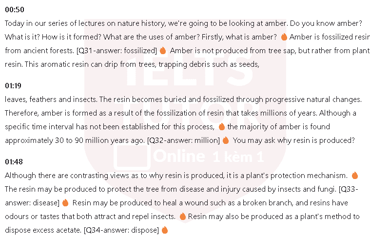 What is amber?: Đề thi IELTS LISTENING (actual test)