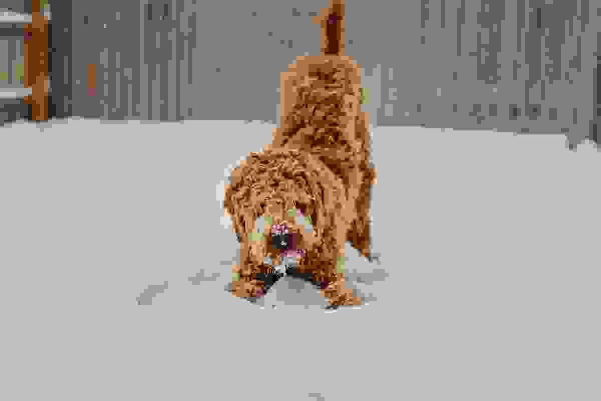 broken image
