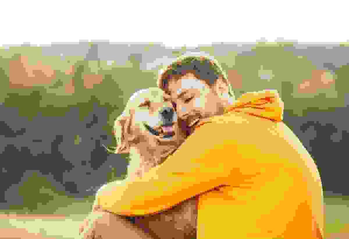 broken image