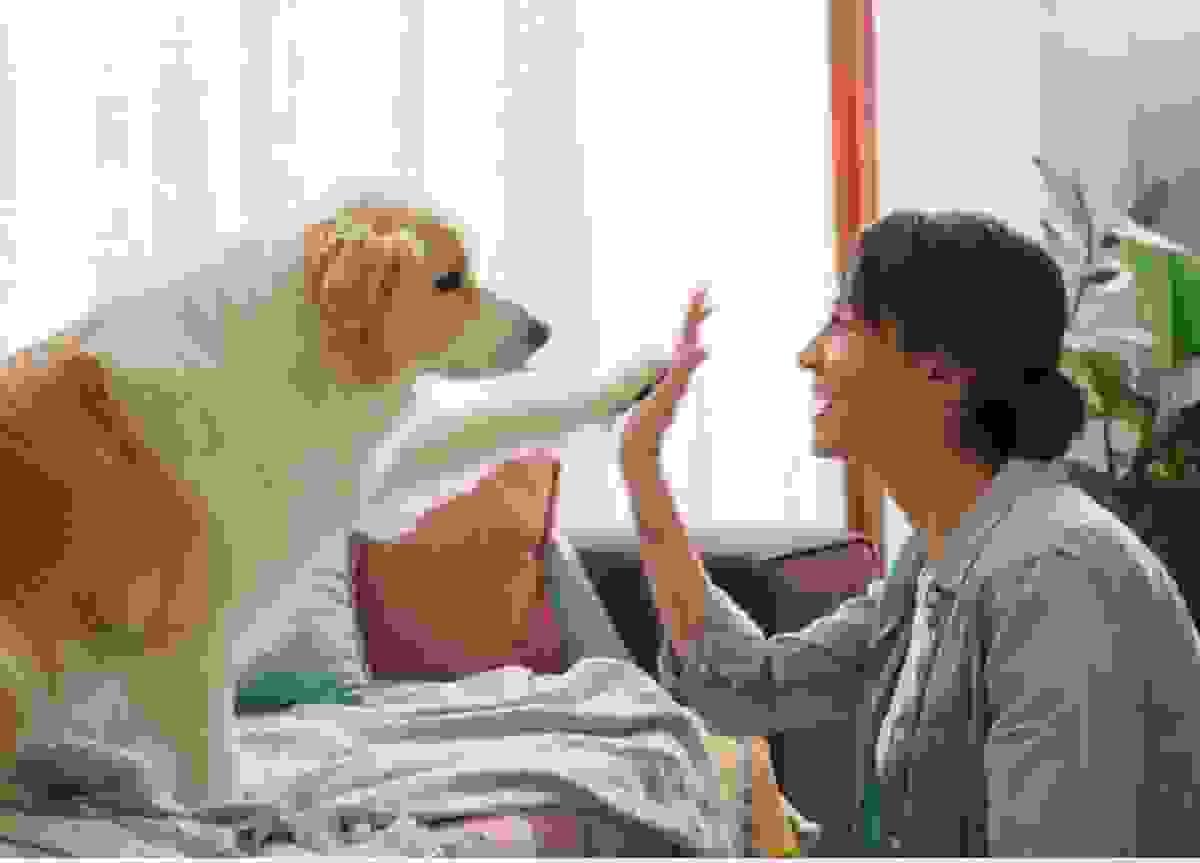 broken image