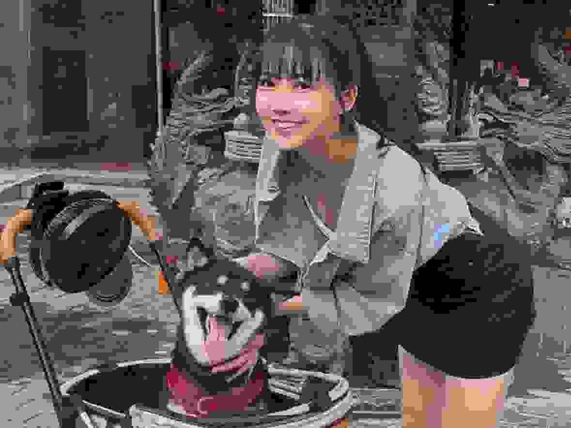 broken image